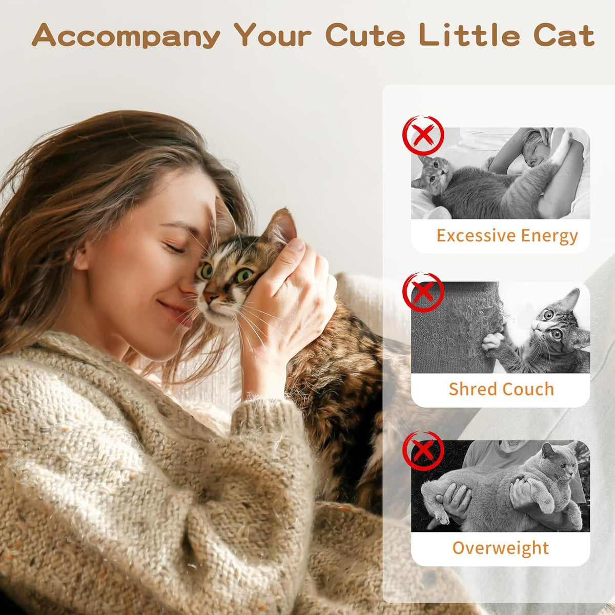 Interactive Cat Feather Wand Toy with Two Feathers and Bell