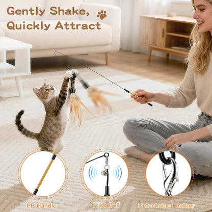 Interactive Cat Feather Wand Toy with Two Feathers and Bell