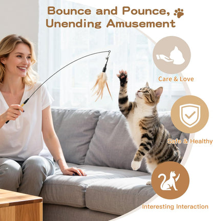 Interactive Cat Feather Wand Toy with Two Feathers and Bell