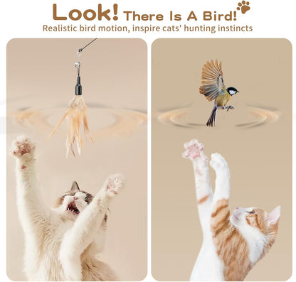Interactive Cat Feather Wand Toy with Two Feathers and Bell